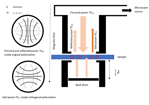 Mobility measurement head